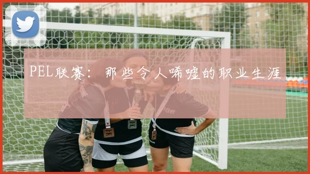 PEL联赛：那些令人唏嘘的职业生涯