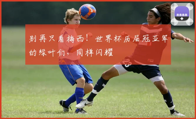 别再只看梅西！世界杯历届冠亚军的绿叶们，同样闪耀