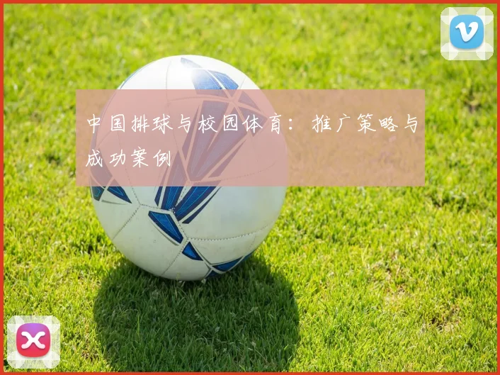 中国排球与校园体育：推广策略与成功案例