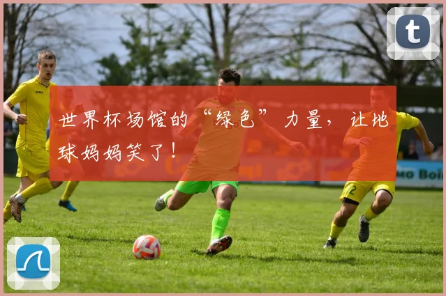世界杯场馆的“绿色”力量，让地球妈妈笑了！